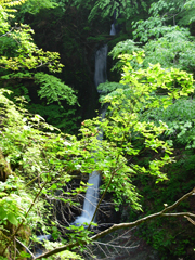 天狗岩の滝…林道から